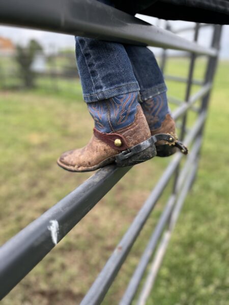 Child's feet in cowboy boots resting on a metal fence rail, showcasing a rural setting with green grass in the background. The boots are worn and feature intricate designs, highlighting a country lifestyle.